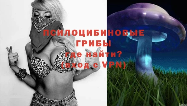 дживик Баксан